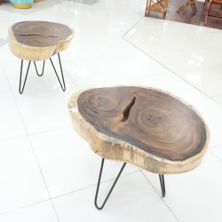 Living Room: Trembesi Wood Antique Table (image 9 of 10).