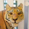 Art: Resin Tiger Statue (image 4 of 7).