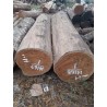 Wood Logs & Timber Wood: Teakwood Logs made of teakwood (image 3 of 3).