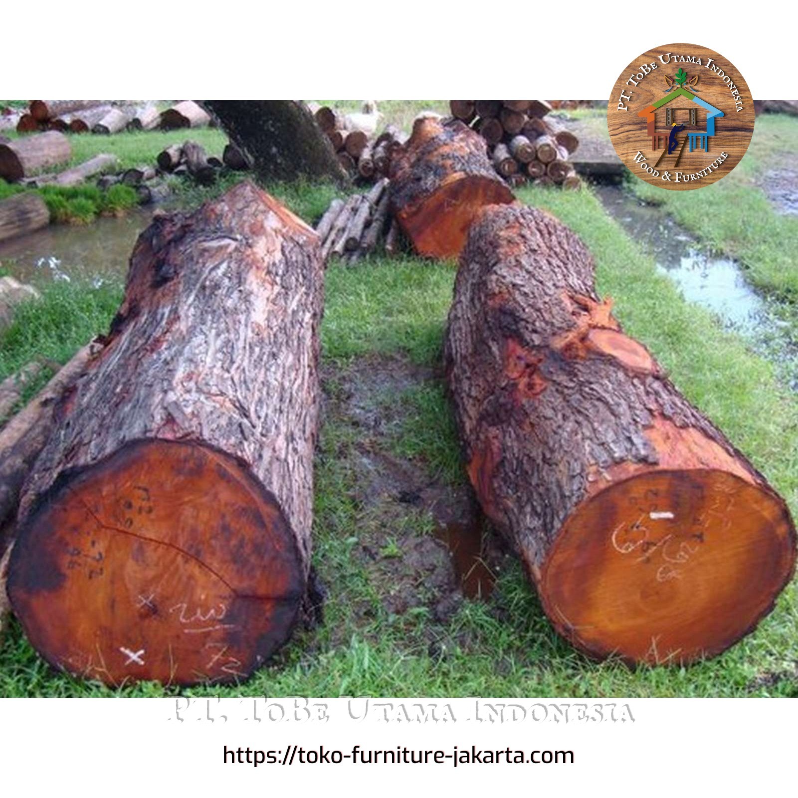 Kayu untuk Bahan Bangunan | Jati, Mahoni, Meranti, Bengkirai Dll