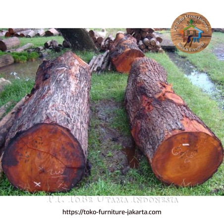 Mahogany Logs Mahogany Logs