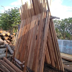 Papan & Dek/Lantai Kayu: Kayu Kelapa di buat dari kayu kelapa (gambar 1 dari 5).