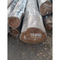 Wood Logs & Timber Wood: Kayu Jati TPK Perhutani made of teakwood (image 1 of 1).
