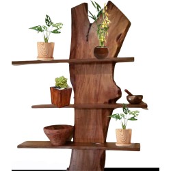 Accessories: Rack Plants made of teakwood (image 1 of 1).