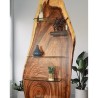 Accessories - Wall Decoration: Tree Showcase made of trembesi wood, mahogany wood, glass (image 1 of 1).