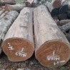 Wood Logs & Timber Wood: Teakwood Logs made of teakwood (image 1 of 3).