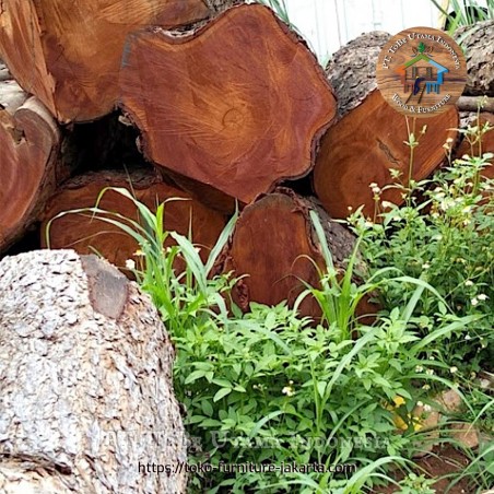 Kayu Gelondongan: Mahoni Logs di buat dari kayu mahoni (gambar 1 dari 2).