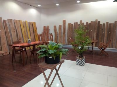 The beauty of plants and wood in a corner of the room.