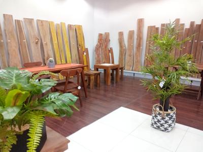 We bring the beauty of nature into your home in the form of furniture and interiors.