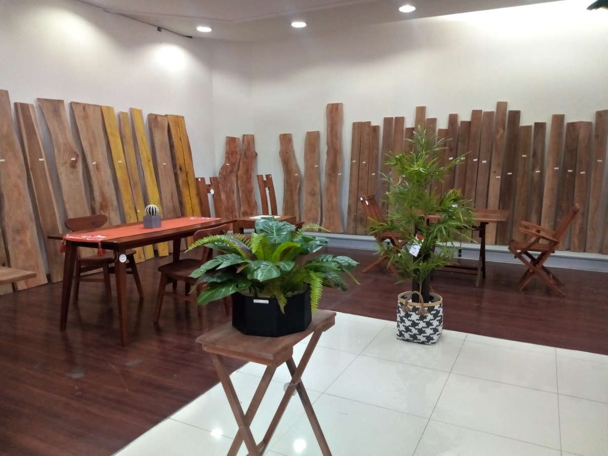 Keindahan tanaman dan kayu di sudut ruangan.