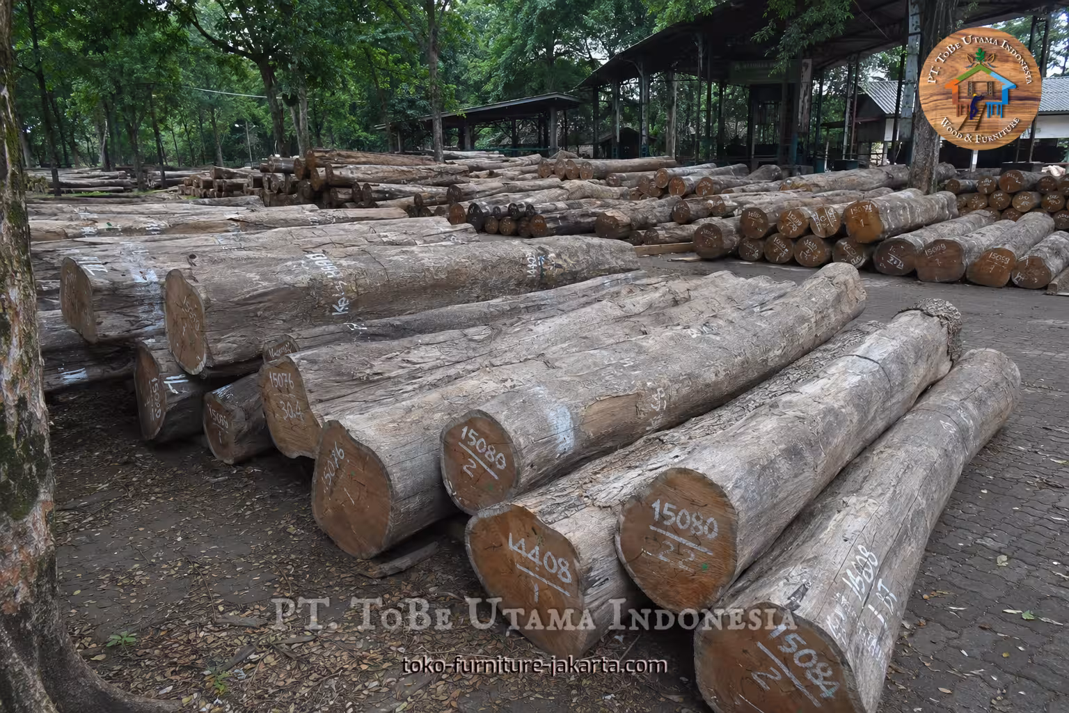 Batang kayu yang telah ditandai ditumpuk di tempat penyimpanan kayu gelondongan di luar ruangan.
