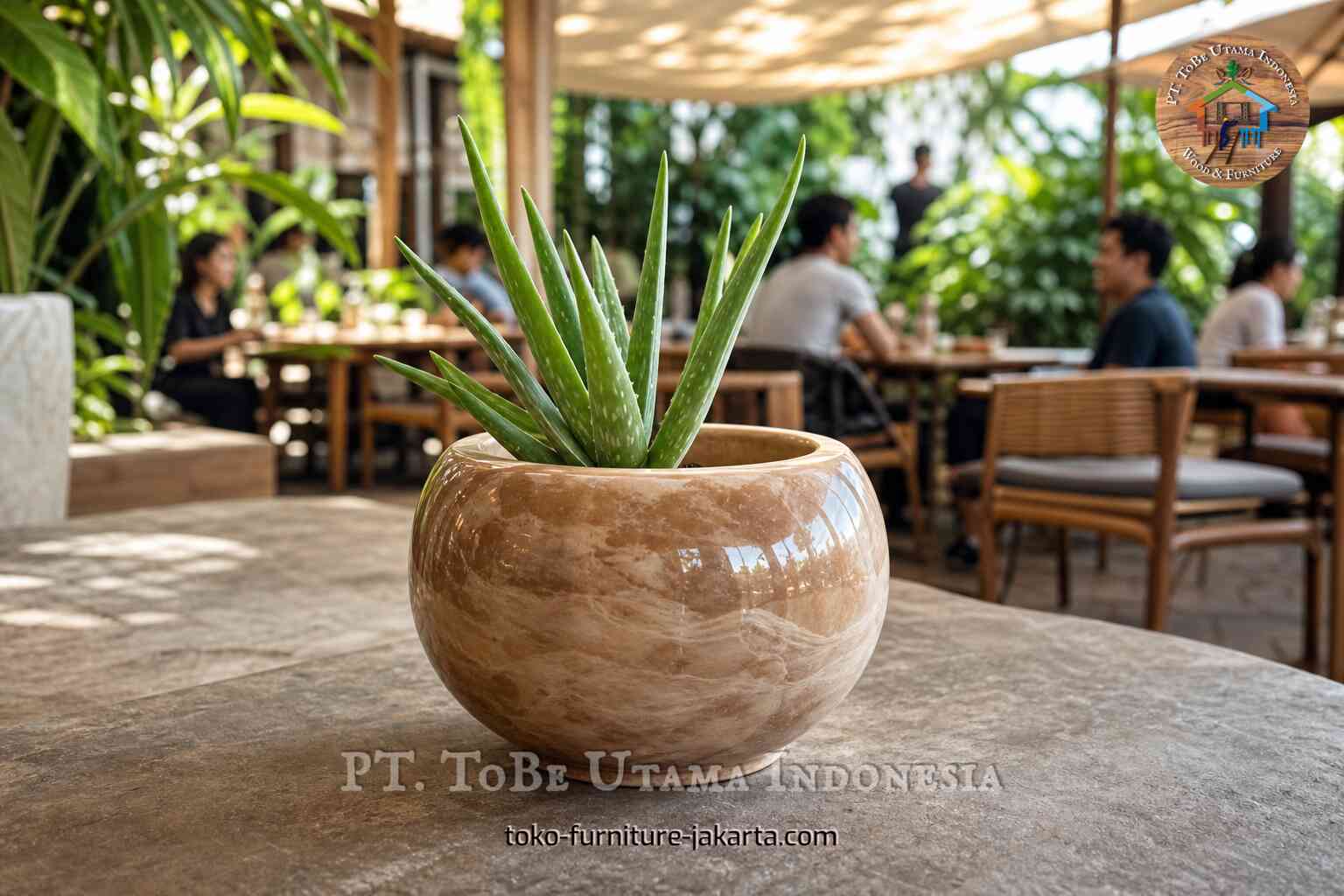 Aloe vera plant in a glossy tan round pot on a tabletop in a bright outdoor cafe setting